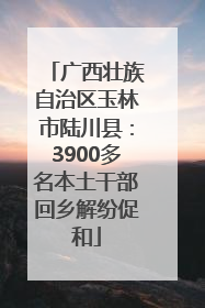 广西壮族自治区玉林市陆川县：3900多名本土干部回乡解纷促和