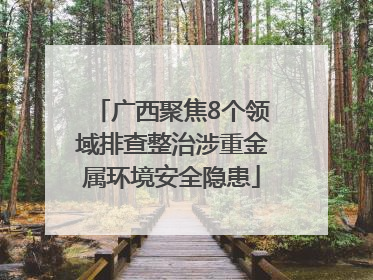 广西聚焦8个领域排查整治涉重金属环境安全隐患