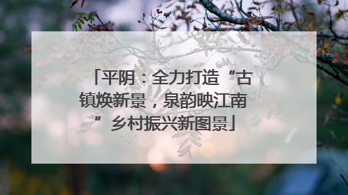 平阴：全力打造“古镇焕新景，泉韵映江南”乡村振兴新图景