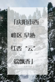 庆阳市西峰区 早熟红杏“云”端飘香