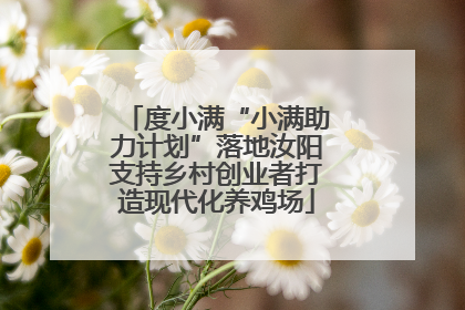 度小满“小满助力计划”落地汝阳支持乡村创业者打造现代化养鸡场