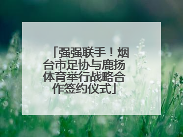 强强联手！烟台市足协与鹿扬体育举行战略合作签约仪式