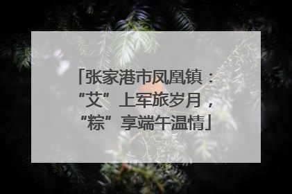 张家港市凤凰镇：“艾”上军旅岁月，“粽”享端午温情