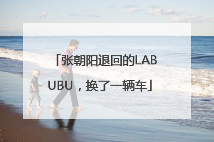 张朝阳退回的LABUBU，换了一辆车