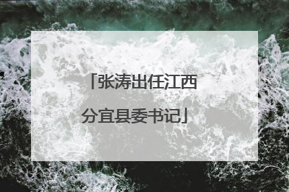 张涛出任江西分宜县委书记