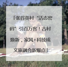 张谷英村“活态密码”引百万客！古村焕新，家风+科技成文旅融合新爆点