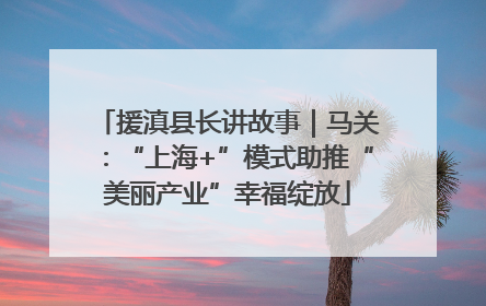援滇县长讲故事｜马关：“上海+”模式助推“美丽产业”幸福绽放