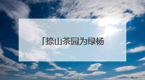 捺山茶园为绿杨春“理发” 夏季修剪促增收