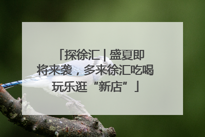 探徐汇 | 盛夏即将来袭，多来徐汇吃喝玩乐逛“新店”