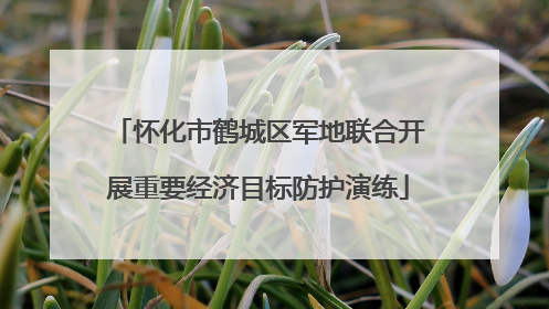 怀化市鹤城区军地联合开展重要经济目标防护演练