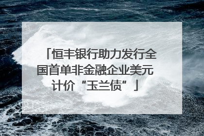 恒丰银行助力发行全国首单非金融企业美元计价“玉兰债”