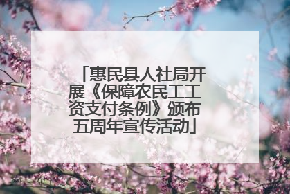 惠民县人社局开展《保障农民工工资支付条例》颁布五周年宣传活动