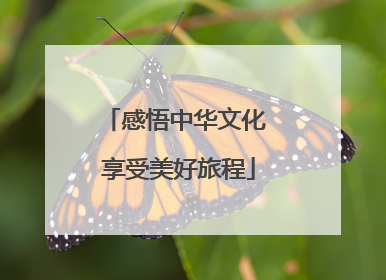 感悟中华文化 享受美好旅程