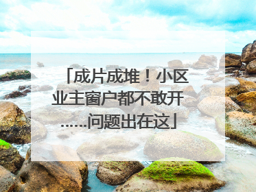 成片成堆！小区业主窗户都不敢开……问题出在这