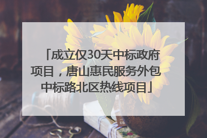 成立仅30天中标政府项目，唐山惠民服务外包中标路北区热线项目