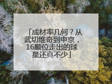 成材率几何？从武切维奇到申京，16顺位走出的球星还真不少
