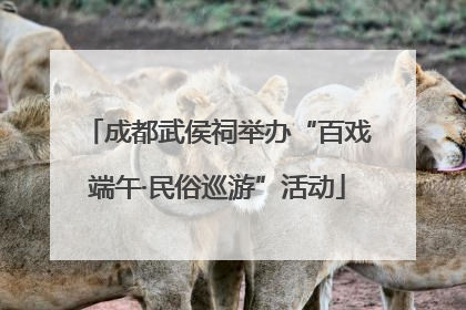 成都武侯祠举办“百戏端午·民俗巡游”活动