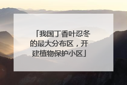 我国丁香叶忍冬的最大分布区，开建植物保护小区