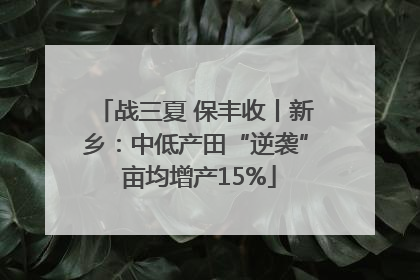 战三夏 保丰收丨新乡：中低产田“逆袭” 亩均增产15%
