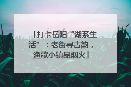 打卡岳阳“湖系生活”：老街寻古韵，渔歌小镇品烟火