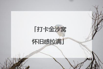 打卡金沙窝 怀旧感拉满