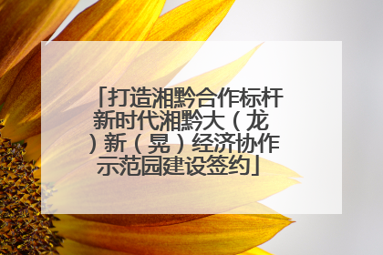 打造湘黔合作标杆 新时代湘黔大（龙）新（晃）经济协作示范园建设签约