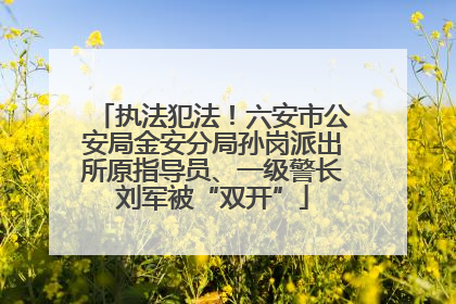 执法犯法！六安市公安局金安分局孙岗派出所原指导员、一级警长刘军被“双开”