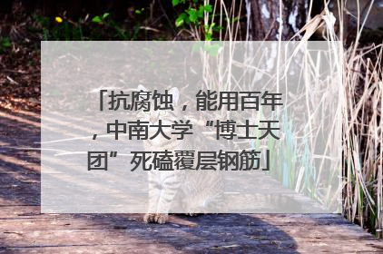 抗腐蚀，能用百年，中南大学“博士天团”死磕覆层钢筋