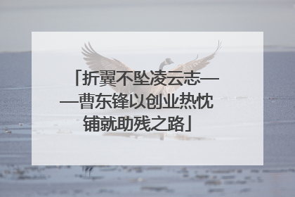 折翼不坠凌云志——曹东锋以创业热忱铺就助残之路