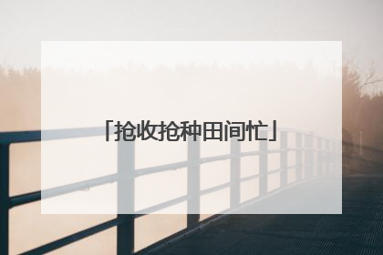 抢收抢种田间忙