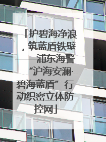 护碧海净浪，筑蓝盾铁壁——浦东海警“沪海安澜·碧海蓝盾”行动织密立体防控网