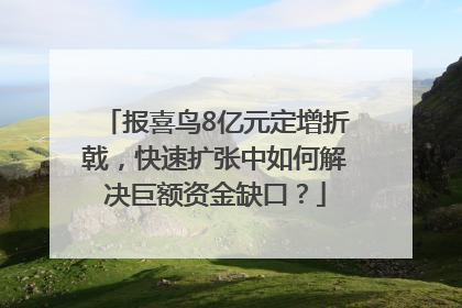 报喜鸟8亿元定增折戟，快速扩张中如何解决巨额资金缺口？
