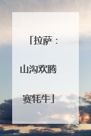 拉萨：山沟欢腾赛牦牛