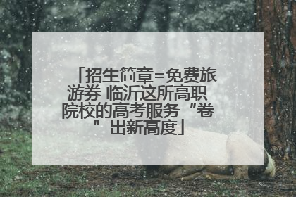 招生简章=免费旅游券 临沂这所高职院校的高考服务“卷”出新高度