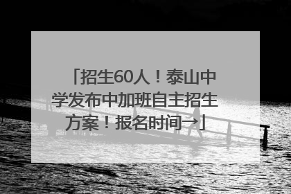 招生60人！泰山中学发布中加班自主招生方案！报名时间→