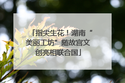 指尖生花！湖南“美丽工坊”随故宫文创亮相联合国