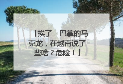 挨了一巴掌的马克龙，在越南说了些啥？危险！