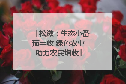 松滋：生态小番茄丰收 绿色农业助力农民增收