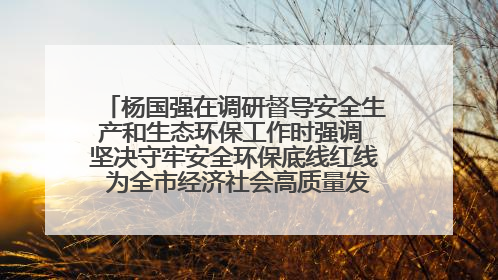 杨国强在调研督导安全生产和生态环保工作时强调 坚决守牢安全环保底线红线 为全市经济社会高质量发展提供坚强保障