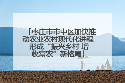 枣庄市市中区加快推动农业农村现代化进程 形成“振兴乡村 增收富农”新格局