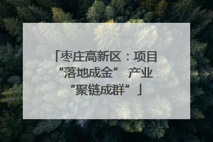 枣庄高新区：项目“落地成金” 产业“聚链成群”