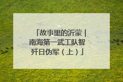 故事里的沂蒙｜南海第一武工队智歼日伪军（上）