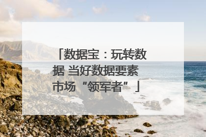 数据宝：玩转数据 当好数据要素市场“领军者”
