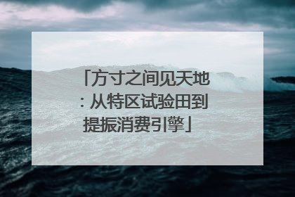 方寸之间见天地：从特区试验田到提振消费引擎