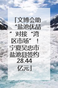 文博会助“盐池优品”对接“湾区市场”！宁夏吴忠市盐池县签约28.44亿元