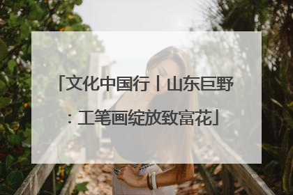 文化中国行丨山东巨野：工笔画绽放致富花