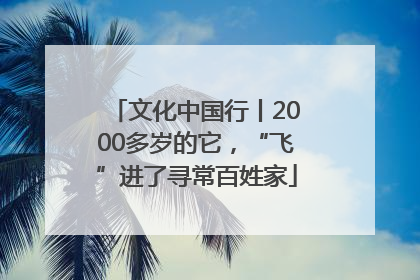 文化中国行丨2000多岁的它，“飞”进了寻常百姓家