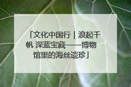 文化中国行｜浪起千帆 深蓝宝藏——博物馆里的海丝遗珍