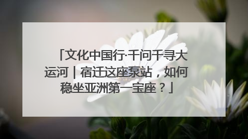 文化中国行·千问千寻大运河｜宿迁这座泵站，如何稳坐亚洲第一宝座？