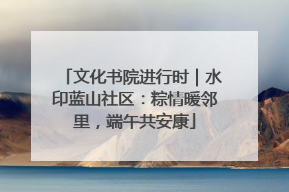 文化书院进行时｜水印蓝山社区：粽情暖邻里，端午共安康